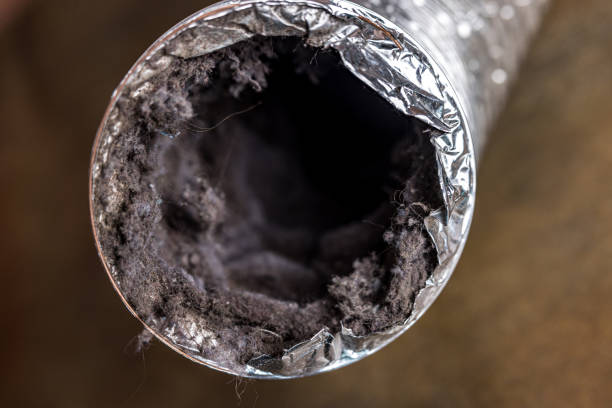 Best Home Air Vent Cleaning  in Pleasantdale, NJ